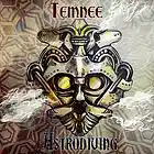 Picture for song 'Mindstone' by artist 'Temnee'