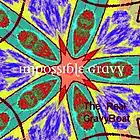 Picture for song 'Impossible Gravy' by artist 'The Real GravyBoat'