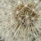 Picture for song 'Decoherence 4 Large Orchestral Forces - part one' by artist '7StringJazz'