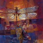 Picture for song 'Flight of the DraGon Fly' by artist 'Acousticheart'