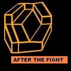 Picture for song 'After The Fight' by artist 'APlayersHunch'