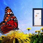 Picture for song 'Hurray for the Sun!' by artist 'Cam7Song'