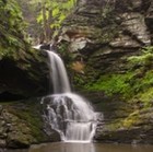 Picture for song 'Forest Stream' by artist 'Charlie Sneller - Film Music'