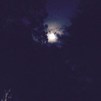 Picture for song 'Georgia Moonlight' by artist 'D Allen Wilhite'