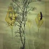 Picture for song 'All We Can Do' by artist 'Distant Towers'