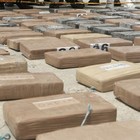 Picture for song 'Instrumental - Carribean Connect (Prod. By El Cuba' by artist 'El Cubano'