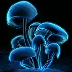 Picture for song 'Shrooms' by artist 'Errol Beats'