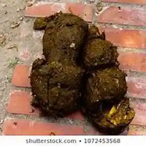 Picture for song 'Big Shit (Produced By Flash A Million)' by artist 'Flash A Million Music'