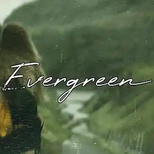 Picture for song 'Evergreen' by artist 'Frankenstein Beats'