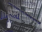 Picture for song 'Prison Story' by artist 'GuillaTeam Network'