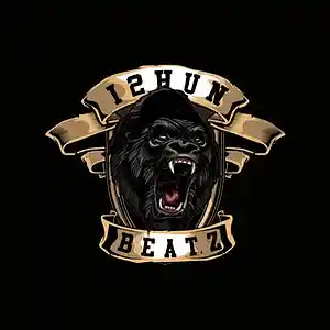 Picture for song 'paid-tha-cost_5366489' by artist 'i2hunDaDon'