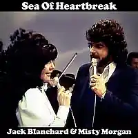 Picture for song 'SEA OF HEARTBREAK By Jack Blanchard & Misty Morgan' by artist 'Jack Blanchard and Misty Morgan'