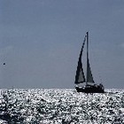 Picture for song '311 : J'AI LONGTEMPS ESSAYE' by artist 'JEAN-CHRISTOPHE M'