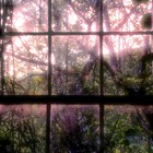 Picture for song 'All the Way to Avalon' by artist 'Jodee James'