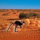 Picture for song 'Outback Revolution' by artist 'Jon Christian'