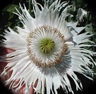 Picture for song 'Feels Good' by artist 'Jordan Woollen'