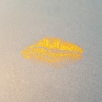 Picture for song 'Where's My Kiss' by artist 'J Prock'