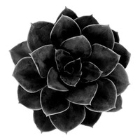 Picture for song 'Kisonmaks - Soll (120 BPM)' by artist 'Kisonbeats'