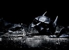 Picture for song '*New* Dark Empire Free DL!!!' by artist 'LXG BEATS'