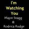 Picture for song 'I'm Watching You . . . with Rodrica Rudge' by artist 'Major Snagg'