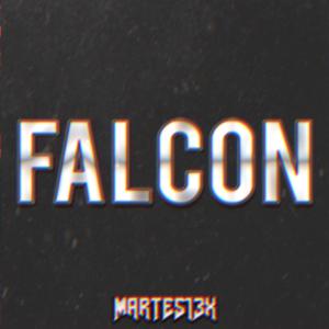 Picture for song 'Falcon 90 bpm' by artist 'Martes13x'
