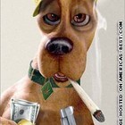 Picture for song 'Dubbies*ScoobyDoo Sample* Free DL' by artist 'MistaBeatzBow'