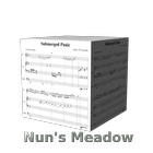 Picture for song 'Submerged Panic' by artist 'Nun's Meadow'