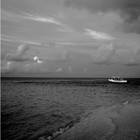 Picture for song 'Wind' by artist 'Paraxy'z'