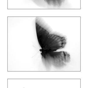 Picture for song 'MMXXII' by artist 'say no more'