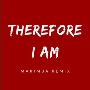 Picture for song 'Sonnerie Gratuite Therefore I Am (Marimba Remix)' by artist 'SonneriePortable'