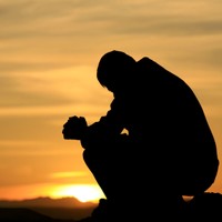 Picture for song 'THIS LONELY LOVER BOY' by artist 'THE DESTINOTICS'