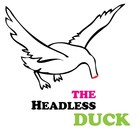 Picture for song 'Flying Boy - The Headless Duck' by artist 'The Headless Duck'