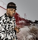 Picture for song 'In My Streets ((FREE DOWNLOAD))' by artist 'The Progress Producers'