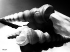 Picture for song 'Heavy Metal ( Ik Hava Sea Shell ) ( 2007 )' by artist 'T.J.H.E.'