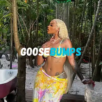 Picture for song 'Goosebumps Afro x Dancehall Type Beat Tems x A' by artist 'Trentvibez'