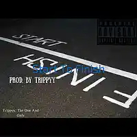 Picture for song 'Start To Finish' by artist 'CosaNostraTrippyy'