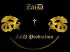 Picture for song 'ZaiD - Ich bin anders als ihr' by artist 'ZP Music'