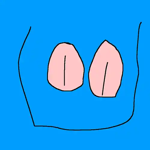 Picture for song 'Future/Flute Trap Type Beat' by artist '4D4D'