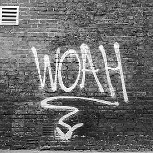 Picture for song 'WOAHFINAL (1)' by artist 'AntWills The Traproducer'