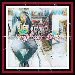 Picture for song 'Soul of Bris Mode' by artist 'BeatsByM3L'