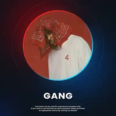 Picture for song 'Gang' by artist 'JOHN TAO'