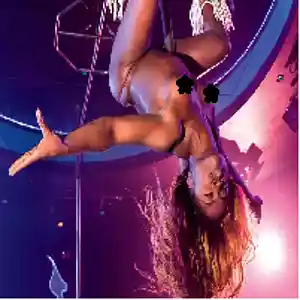 Picture for song 'What D'You Mean' by artist 'Myster.(E Album)'