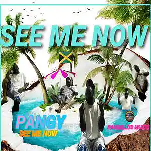 Picture for song 'See Me Now' by artist 'pangy'
