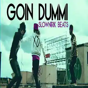 Picture for song 'Goin dummi' by artist 'Slownirik'