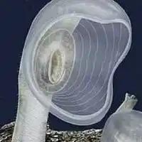 Picture for song 'TybeDour SongMoon 0046' by artist 'TybeDour'