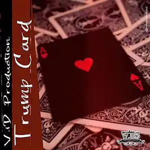 Picture for song 'Trump Card' by artist 'V.iD Production'