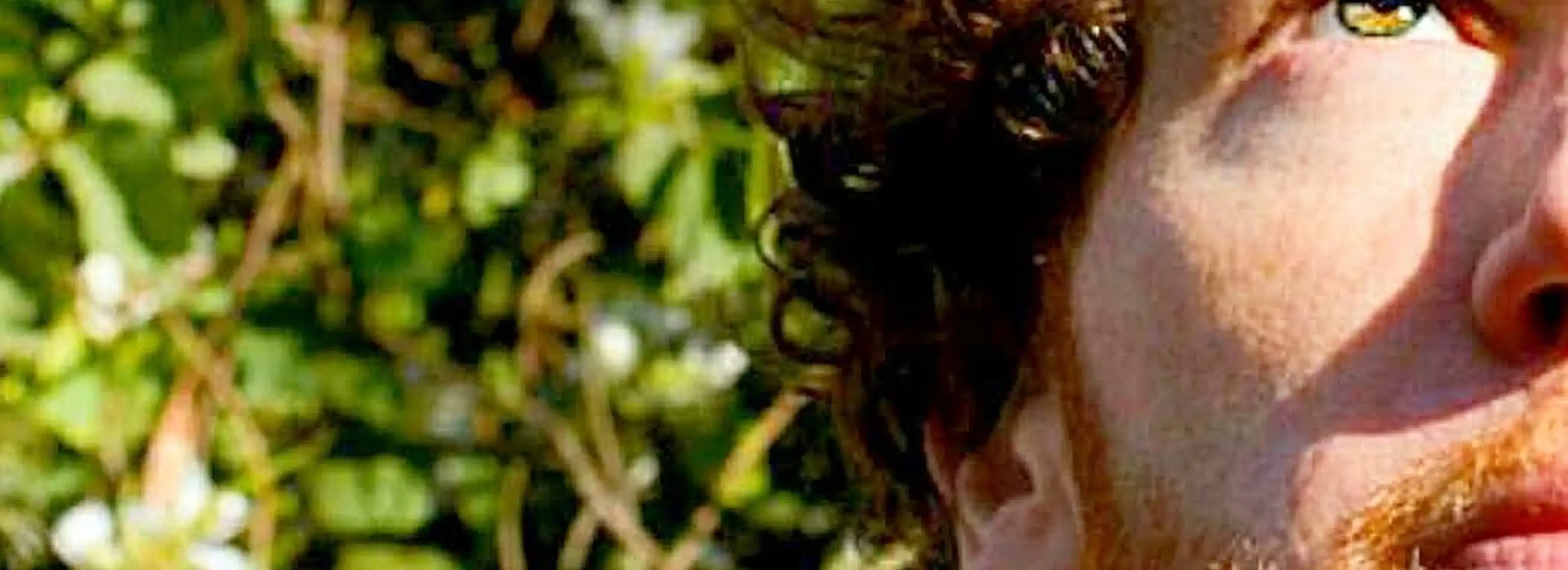cover pic