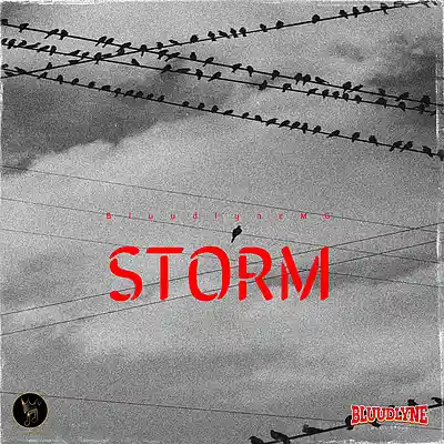 Picture for song 'Storm' by artist 'The Cipher Fang'