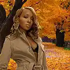 Song picture