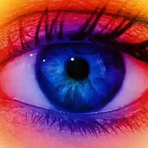 Picture for song '[ FREE DOWNLOAD] --- VISIONS' by artist 'DNA DUO Beats'